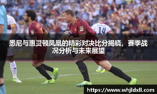 悉尼与惠灵顿凤凰的精彩对决比分揭晓，赛季战况分析与未来展望